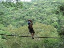 jannelle zip line: Janelle zipping over the jungle.